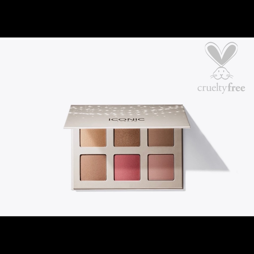 Iconic face palette